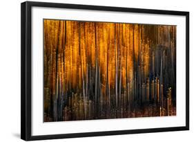 Falling Stars-Ursula Abresch-Framed Photographic Print