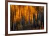 Falling Stars-Ursula Abresch-Framed Photographic Print