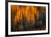 Falling Stars-Ursula Abresch-Framed Photographic Print