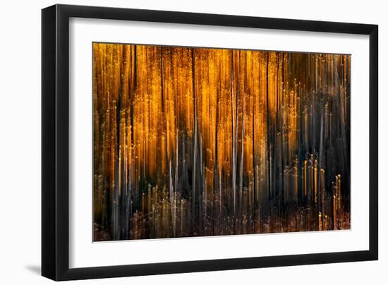 Falling Stars-Ursula Abresch-Framed Photographic Print