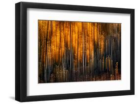 Falling Stars-Ursula Abresch-Framed Photographic Print