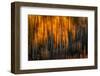 Falling Stars-Ursula Abresch-Framed Photographic Print