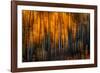 Falling Stars-Ursula Abresch-Framed Photographic Print