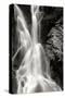 Falling Water I BW-Douglas Taylor-Stretched Canvas