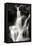Falling Water II BW-Douglas Taylor-Framed Stretched Canvas