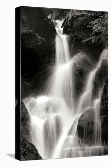 Falling Water II BW-Douglas Taylor-Stretched Canvas