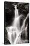 Falling Water II BW-Douglas Taylor-Stretched Canvas