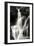 Falling Water II BW-Douglas Taylor-Framed Premium Photographic Print