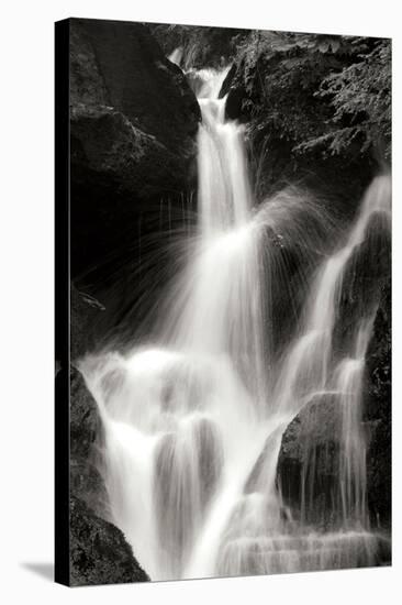 Falling Water II BW-Douglas Taylor-Stretched Canvas