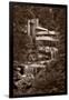 Falling Water View BW-Steve Gadomski-Framed Premium Photographic Print