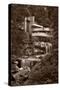 Falling Water View BW-Steve Gadomski-Stretched Canvas