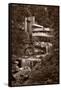 Falling Water View BW-Steve Gadomski-Framed Stretched Canvas