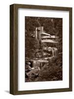 Falling Water View BW-Steve Gadomski-Framed Photographic Print