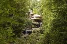 Laminate
