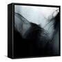 Falling-Gabriella Roberg-Framed Stretched Canvas