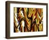 Fallout 2-Ruth Palmer-Framed Art Print