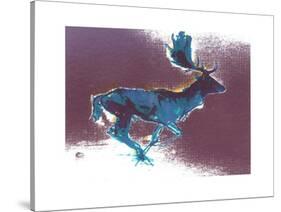 Fallow Buck, 2015-Mark Adlington-Stretched Canvas