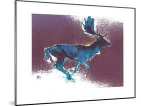 Fallow Buck, 2015-Mark Adlington-Mounted Giclee Print