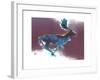 Fallow Buck, 2015-Mark Adlington-Framed Giclee Print