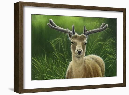 Fallow Buck in Velvet-Jeremy Paul-Framed Giclee Print