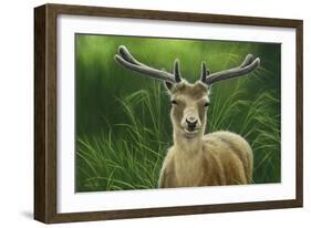 Fallow Buck in Velvet-Jeremy Paul-Framed Giclee Print