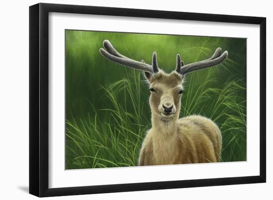 Fallow Buck in Velvet-Jeremy Paul-Framed Giclee Print