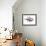 Fallow Bucks, 2015-Mark Adlington-Framed Giclee Print displayed on a wall