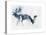 Fallow Bucks, Richmond, 2006-Mark Adlington-Stretched Canvas