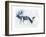 Fallow Bucks, Richmond, 2006-Mark Adlington-Framed Giclee Print