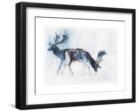 Fallow Bucks, Richmond, 2006-Mark Adlington-Framed Giclee Print