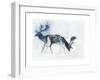 Fallow Bucks, Richmond, 2006-Mark Adlington-Framed Giclee Print