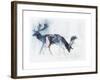 Fallow Bucks, Richmond, 2006-Mark Adlington-Framed Giclee Print