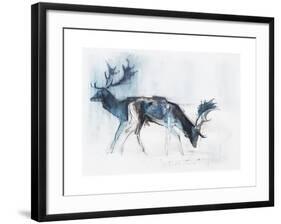 Fallow Bucks, Richmond, 2006-Mark Adlington-Framed Giclee Print