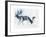 Fallow Bucks, Richmond, 2006-Mark Adlington-Framed Giclee Print