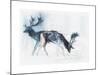 Fallow Bucks, Richmond, 2006-Mark Adlington-Mounted Giclee Print