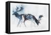 Fallow Bucks, Richmond, 2006-Mark Adlington-Framed Stretched Canvas