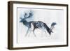 Fallow Bucks, Richmond, 2006-Mark Adlington-Framed Giclee Print