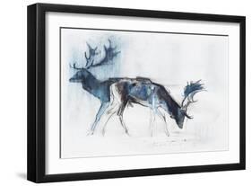 Fallow Bucks, Richmond, 2006-Mark Adlington-Framed Giclee Print