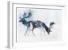 Fallow Bucks, Richmond, 2006-Mark Adlington-Framed Giclee Print