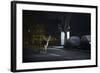 Fallow Deer (Dama Dama) Buck Crossing Road in Front of Bus Stop. London, UK. January-Sam Hobson-Framed Photographic Print