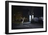 Fallow Deer (Dama Dama) Buck Crossing Road in Front of Bus Stop. London, UK. January-Sam Hobson-Framed Photographic Print