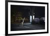 Fallow Deer (Dama Dama) Buck Crossing Road in Front of Bus Stop. London, UK. January-Sam Hobson-Framed Photographic Print