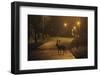 Fallow Deer (Dama Dama) Buck Crossing Road under Street Lights. London, UK. January-Sam Hobson-Framed Photographic Print