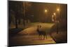 Fallow Deer (Dama Dama) Buck Crossing Road under Street Lights. London, UK. January-Sam Hobson-Mounted Photographic Print