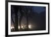 Fallow Deer (Dama Dama) Crossing Rural Road Through Berkhamsted Common at Dusk-Ernie Janes-Framed Photographic Print