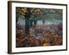 Fallow Deer, Dama Dama, Making their Way Through Autumn Foliage-Alex Saberi-Framed Photographic Print