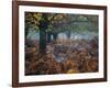 Fallow Deer, Dama Dama, Making their Way Through Autumn Foliage-Alex Saberi-Framed Photographic Print