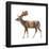 Fallow Deer (Dama Dama), Mammals-Encyclopaedia Britannica-Framed Poster