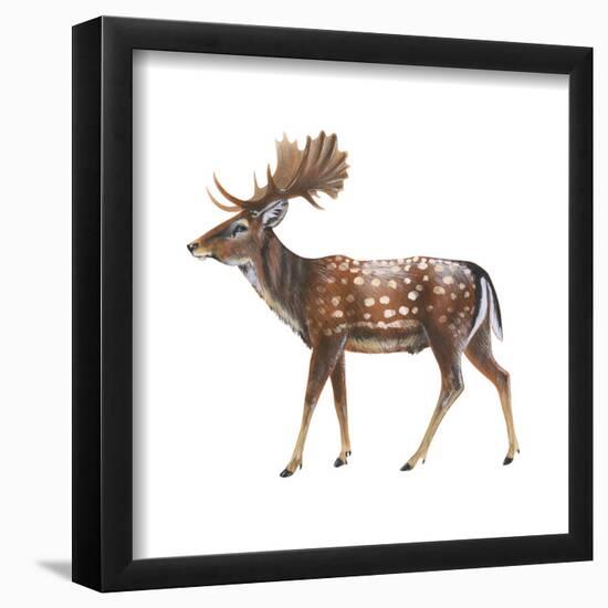 Fallow Deer (Dama Dama), Mammals-Encyclopaedia Britannica-Framed Poster