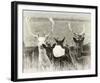 Fallow Deer Herd-Wink Gaines-Framed Giclee Print